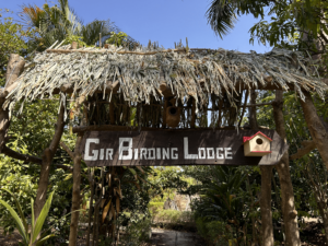  Gir birding Lodge