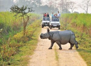  Kaziranga National Park Assam