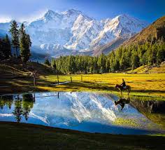 fairy meadows tours