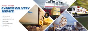 TCI Express's Services