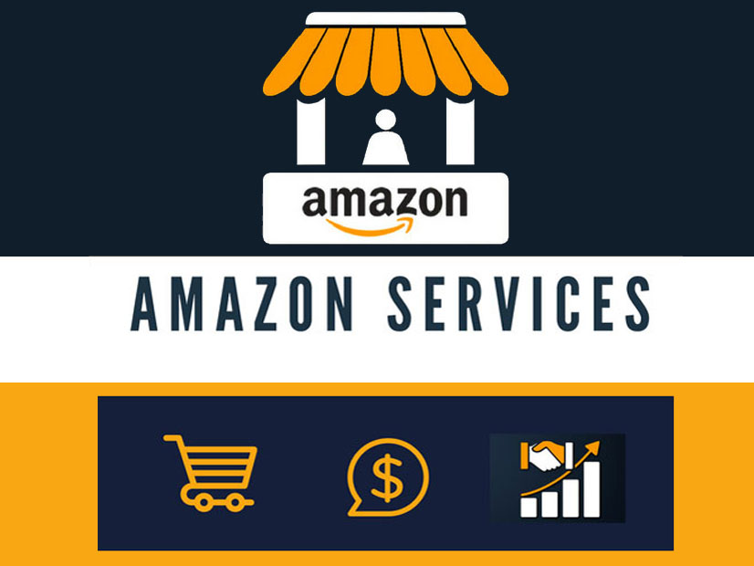 Navigating the Jungle: Exploring Amazon Management Services