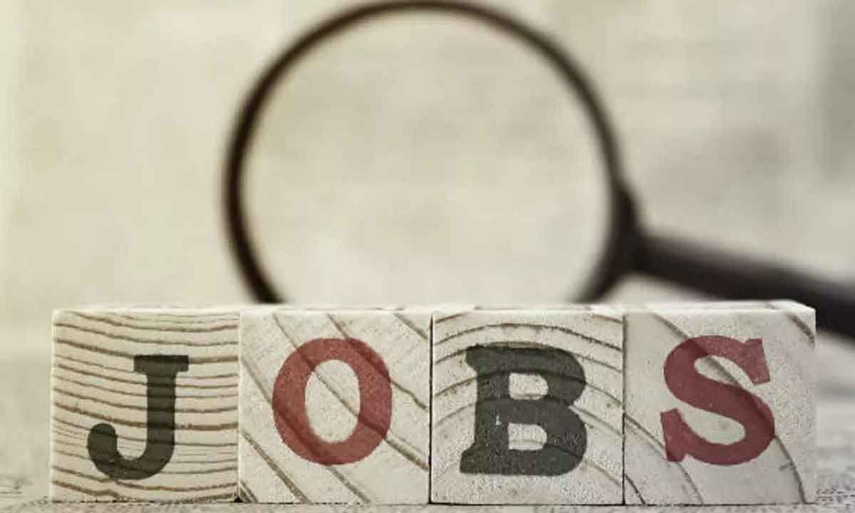 Navigating the Ghanaian Job Market: The Role of Job Portals