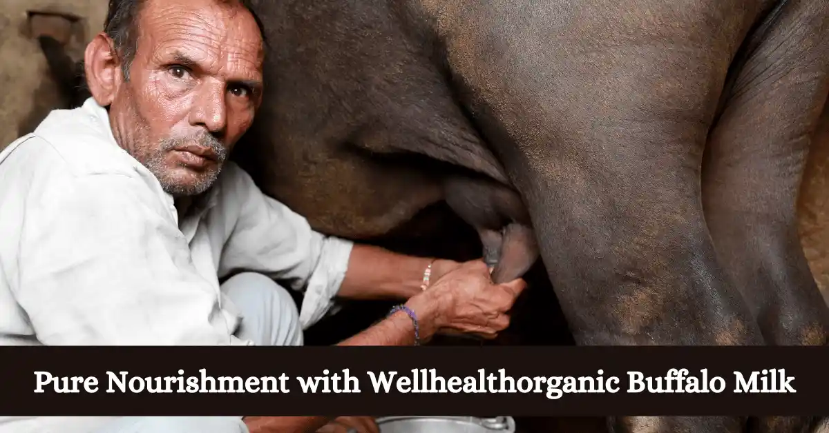 Pure Nourishment with Wellhealthorganic Buffalo Milk