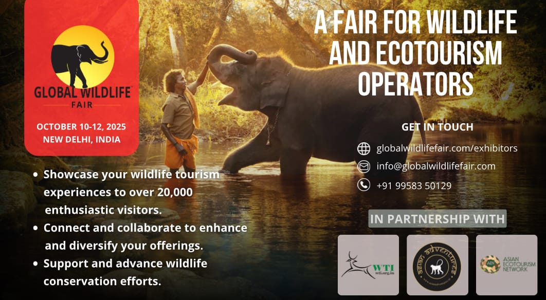 About the Global Wildlife Fair