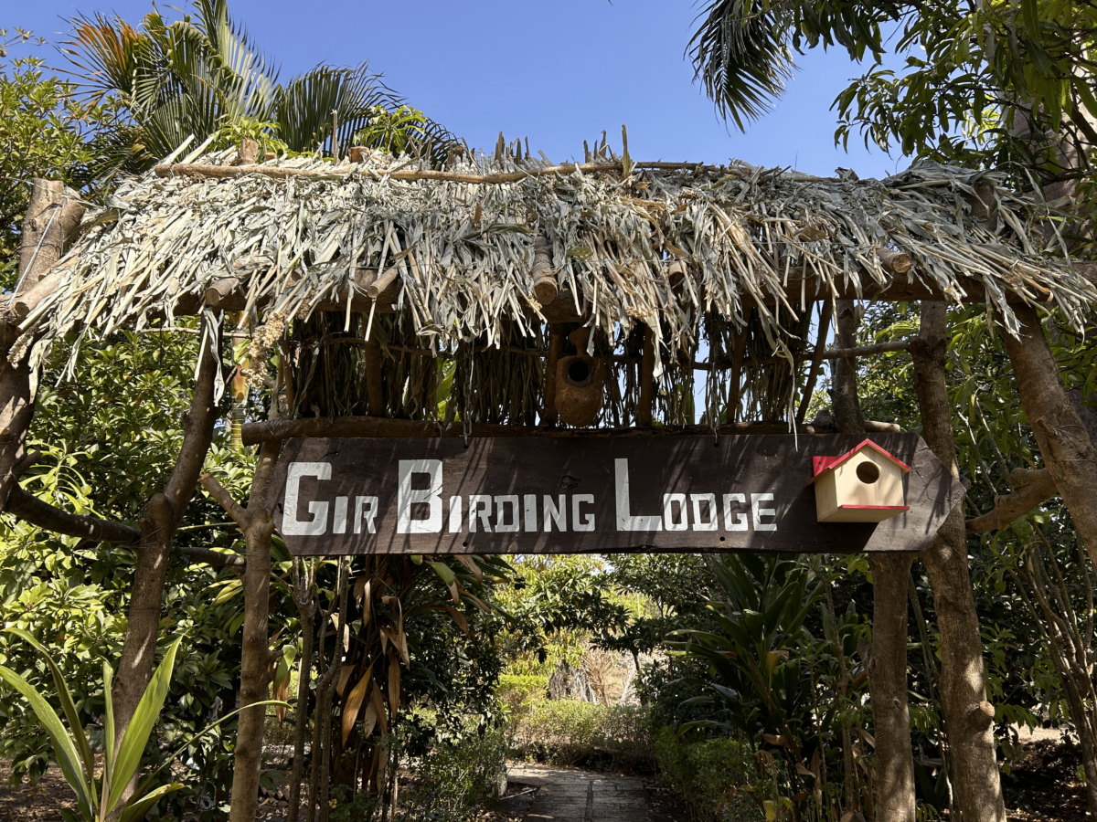 Gir birding Lodge