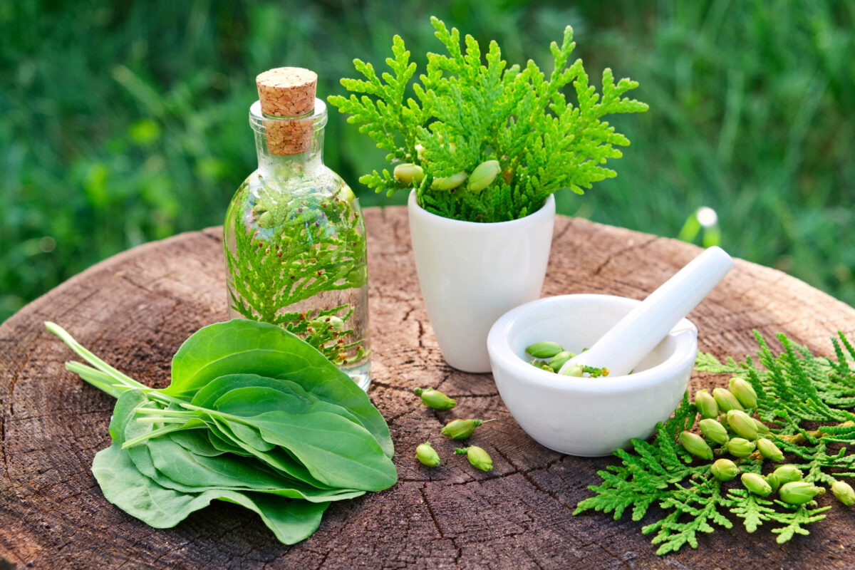 Herbalist Melbourne