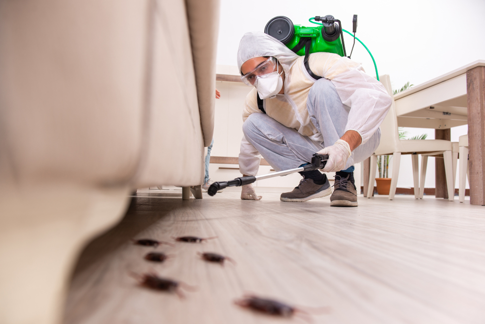 Commercial Pest Control London