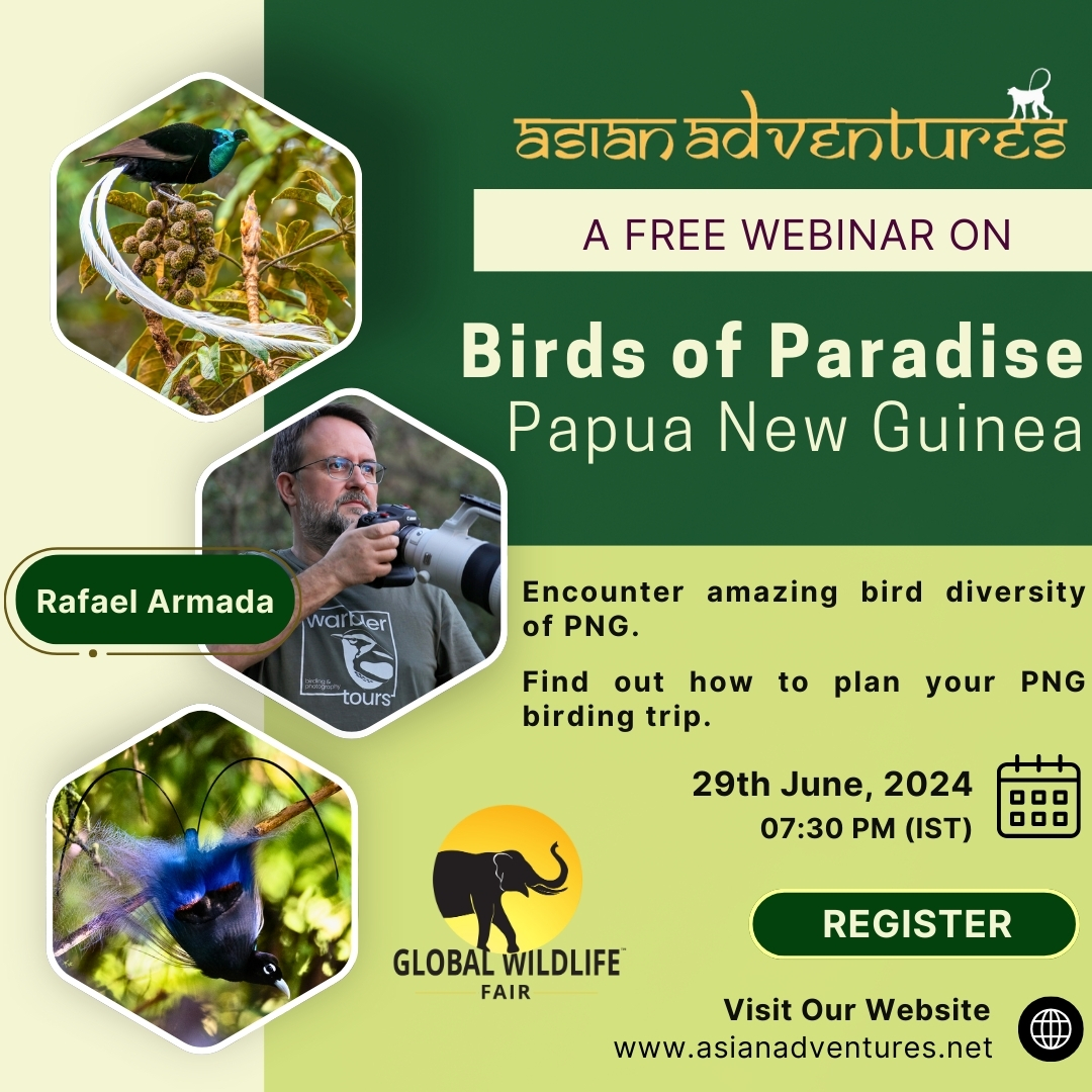 Webinar By GWF