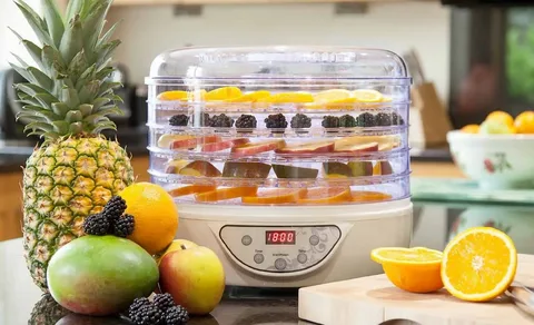 Unlocking Flavor: How to Make the Most of Food Dehydrator