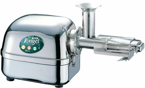 Choosing the Best: Unpacking the Angel Juicer Extractor