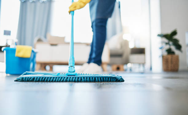 Transform Your Home with Professional House Cleaning Services