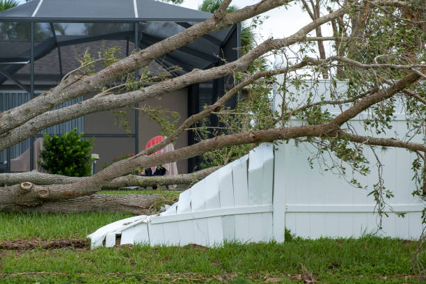 Tree Maintenance