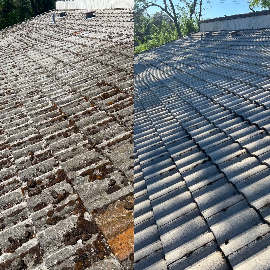 roof cleaning