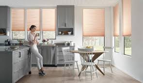 motorized blinds and shades