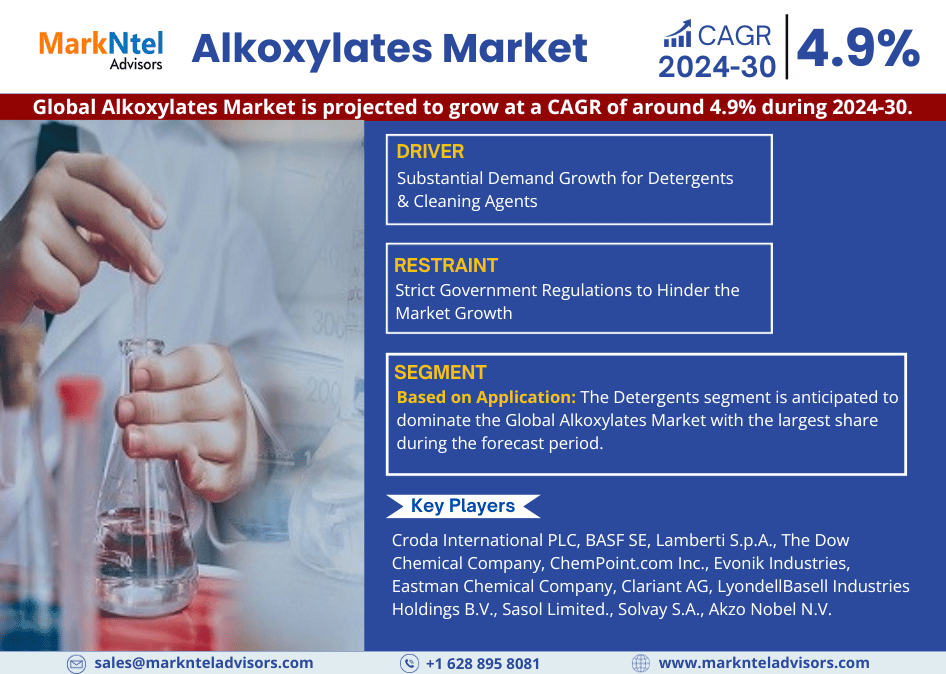 Global Alkoxylates Market