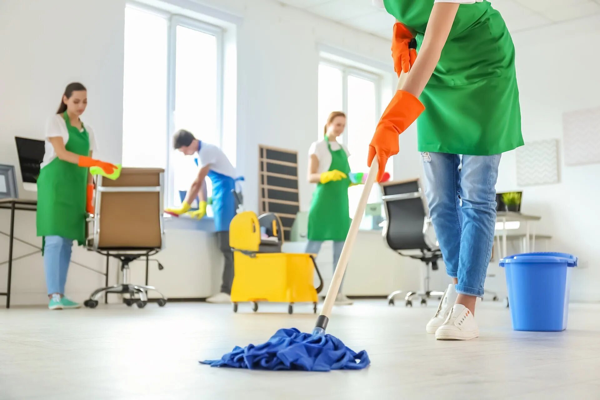 Green Cleaning Services: Eco-Friendly Professional Cleaners in Canada