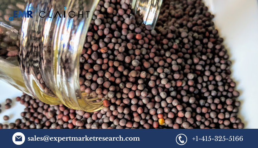 Mustard Seeds Price: Market Dynamics and Future Outlook