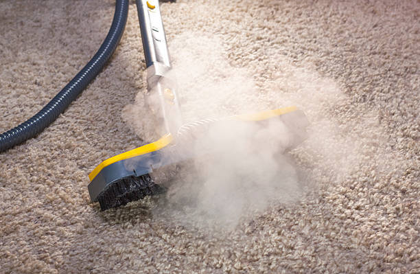 Recharge Your Home with Outstanding Carpet Cleaning Windsor