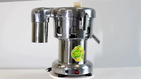 Stainless Steel Juicer