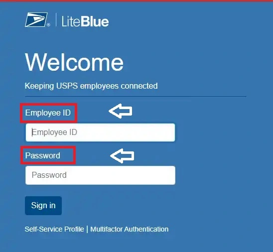 What You Need to Know About USPS Liteblue Login Credentials