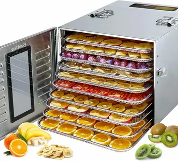 Choosing the Best Dehydrator for Healthy Snack Making