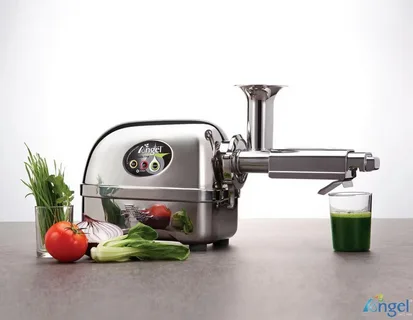 angel cold press juicer