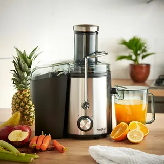 stainless steel juicer