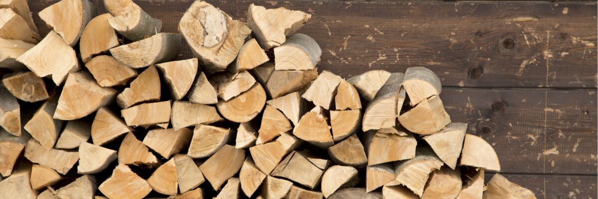 Firewood Logs Sale And Delivery in Dorset