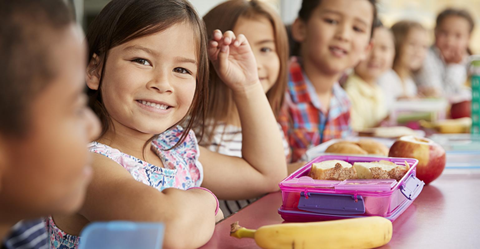 School Lunch Ordering Software