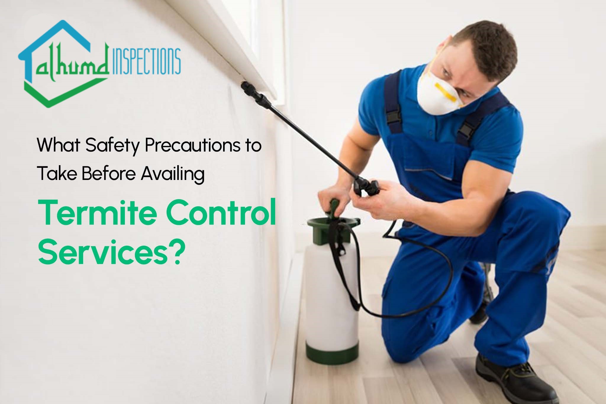 How to Choose the Best Termite Inspection Service