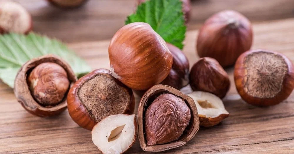 Benefits of Hazelnuts (Filberts) for the Heart and Brain