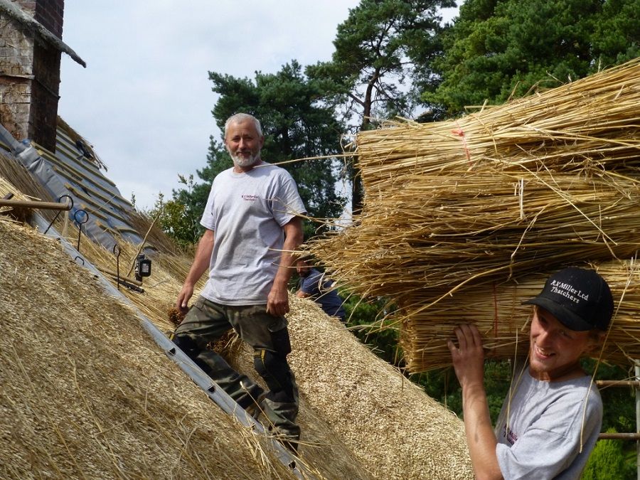 Roof Thatcher