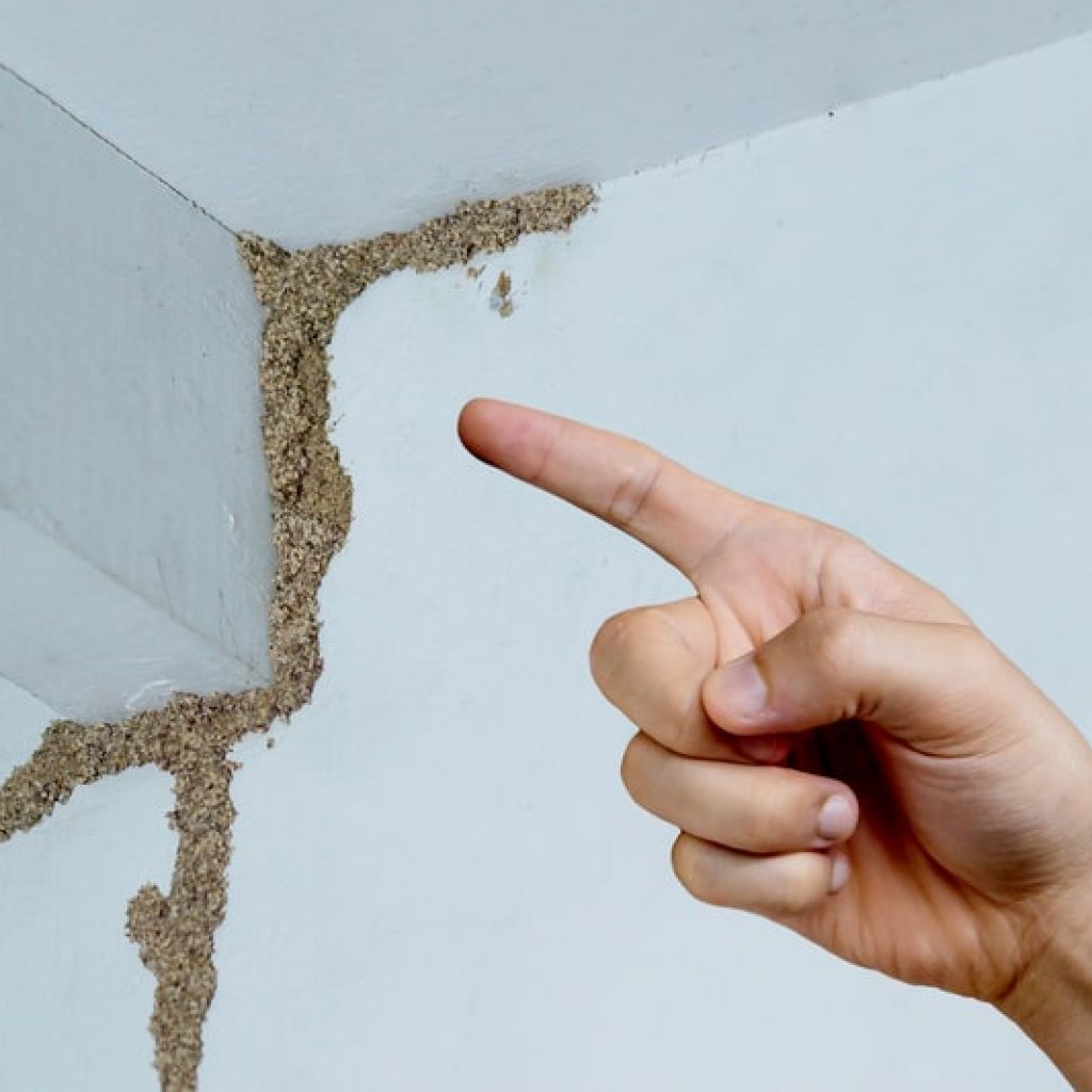 Choose a Reliable Termite Inspection Company in USA