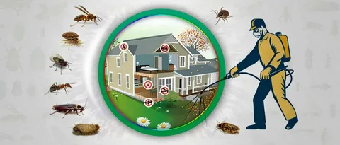 Affordable Mosquito Control Company Raynham, MA – Protect Your Home!