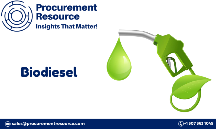 Comprehensive Biodiesel Production Process with Cost Analysis