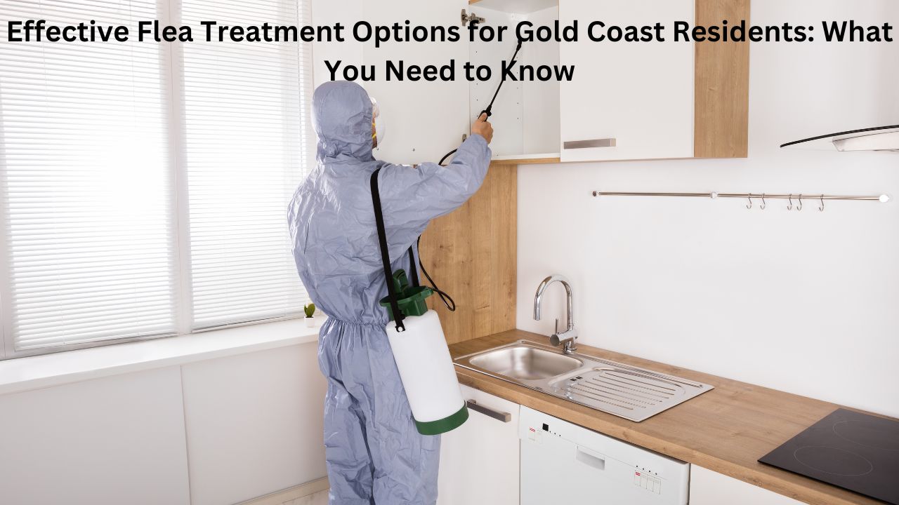 Effective Flea Treatment Options for Gold Coast Residents: What You Need to Know