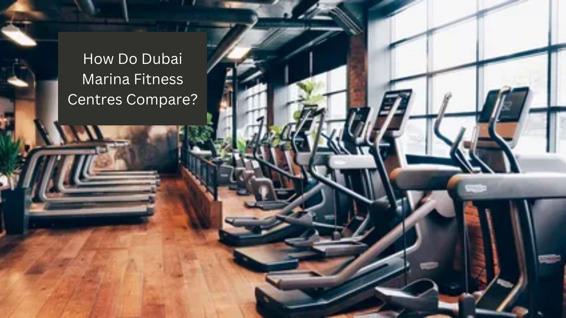 How Do Dubai Marina Fitness Centres Compare