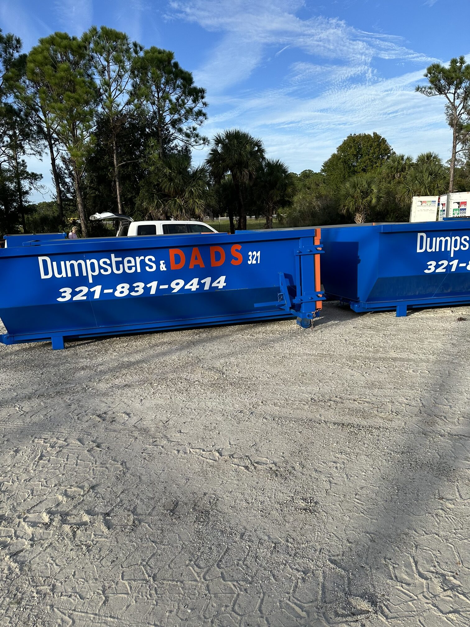 Large Dumpster Rental: Ideal for Big Cleanup Projects