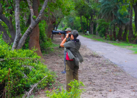 Birding Eco Tours