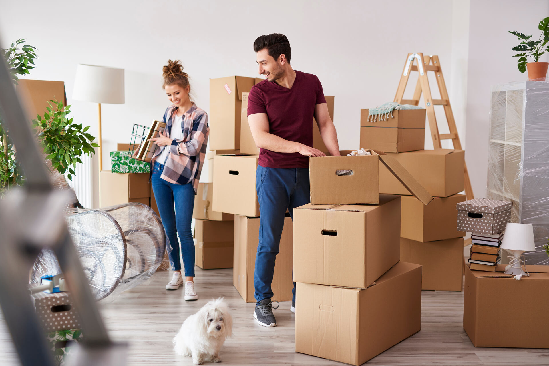 Professional Packers and Movers in Surrey