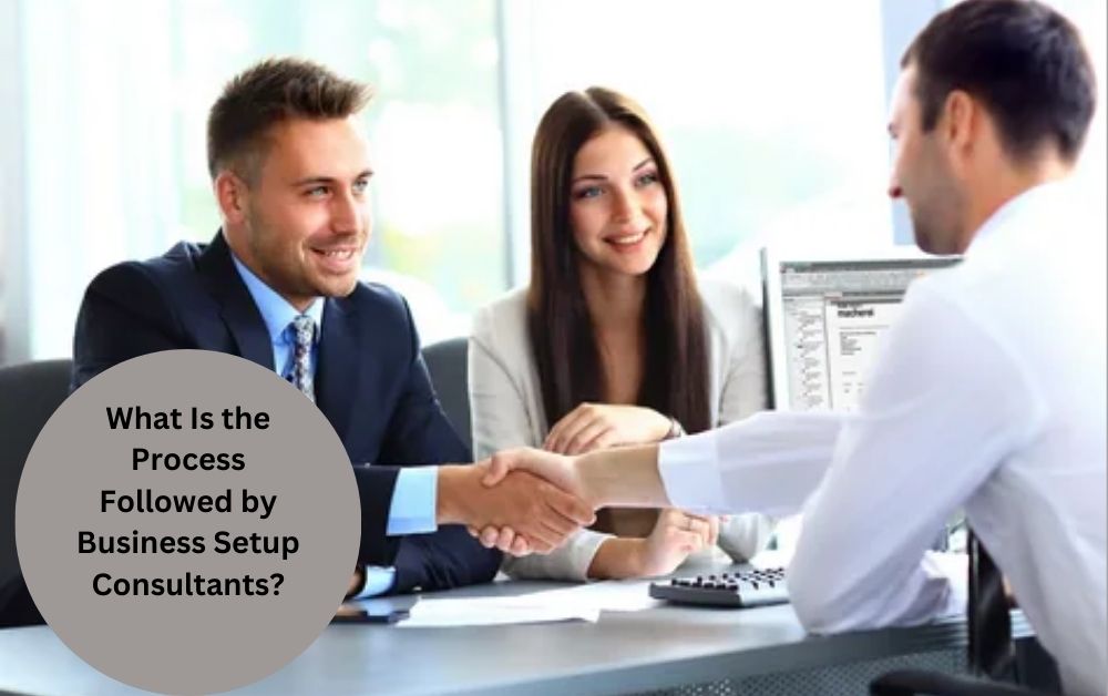 Business Setup Consultants