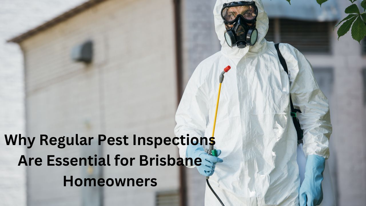 Why Regular Pest Inspections Are Essential for Brisbane Homeowners