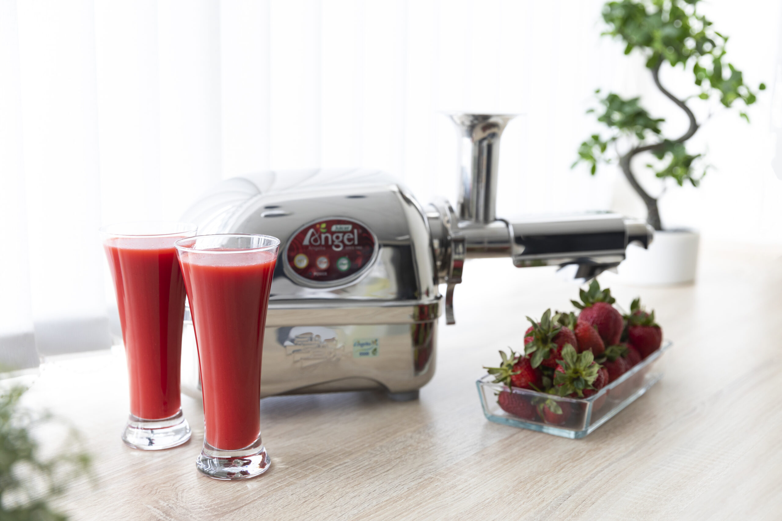 Kuvings Slow Juicer