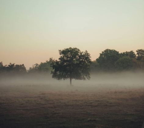 Find the Rightful Owners of Abandoned Houses Essex or Empty Homes England