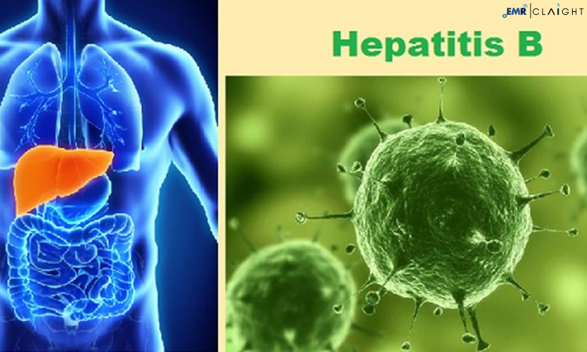 Global Hepatitis B Infection Treatment Market