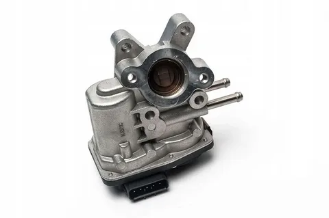 Egr Valve D40