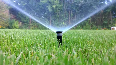 Can Sprinkler Installation Services Be Customized to Fit Your Landscape?