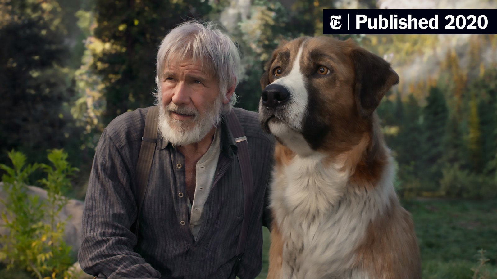 “How Hollywood’s Pets Are Changing the Way We View Animals”