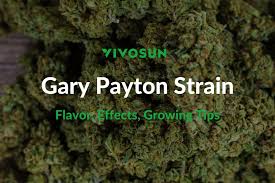 Gary Payton Weed