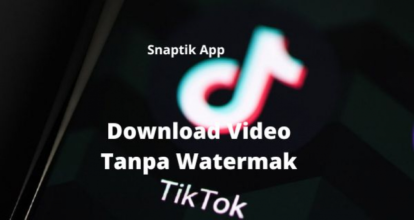 download video tiktok snaptik